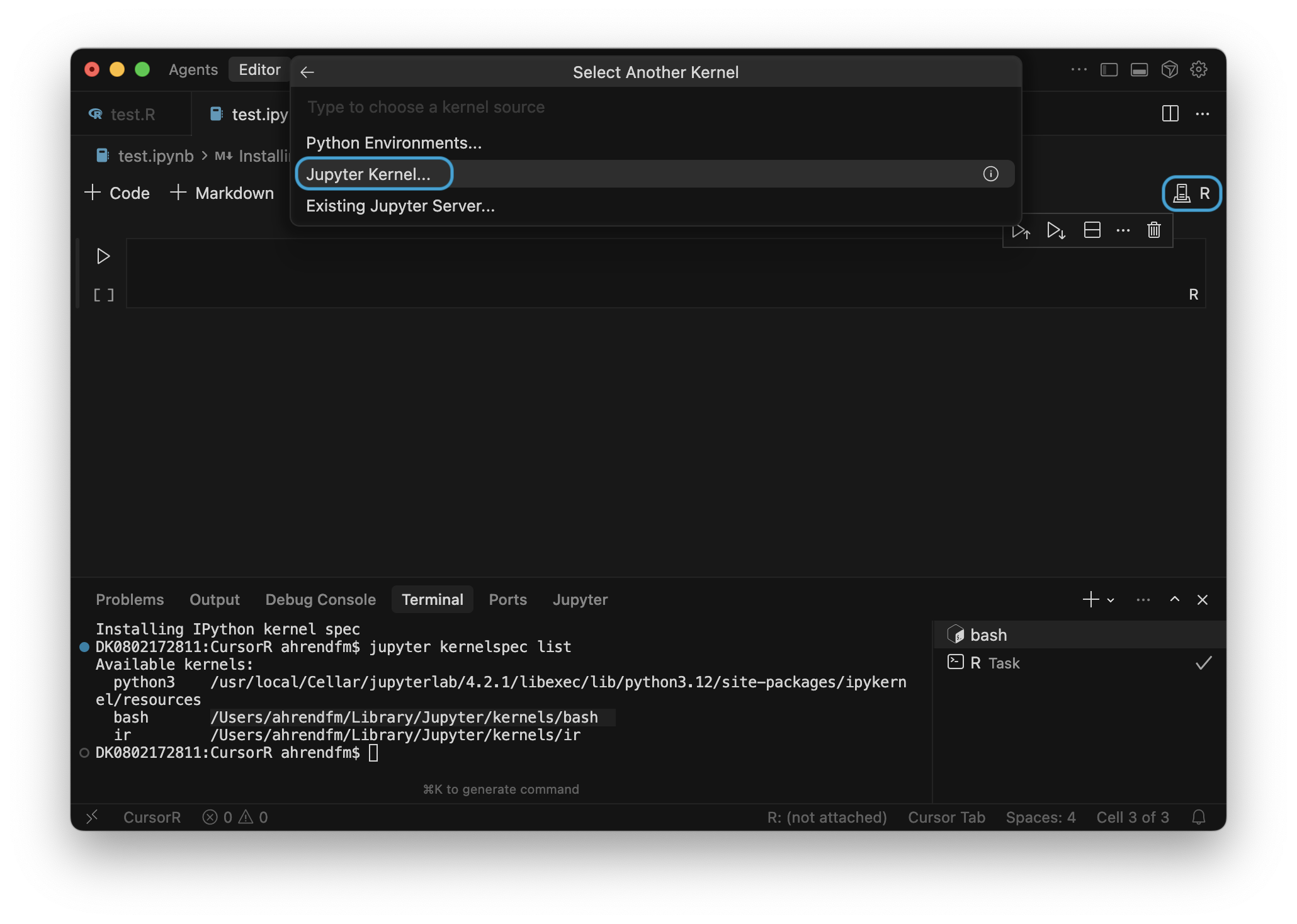 Cursor IDE showing kernel selection menu with R option visible